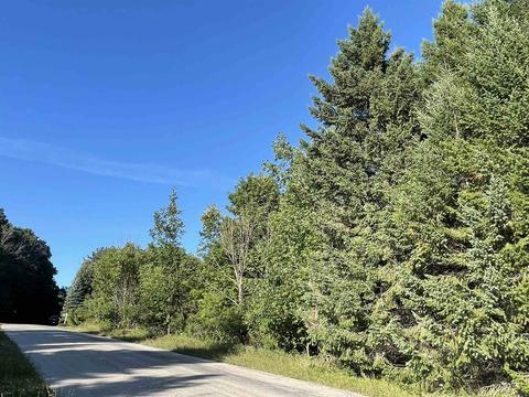 02120 N Vl N Mcleod, Leland, MI 49654