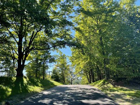 5570 Paradise #LOT 22, Kingsley, MI 49649