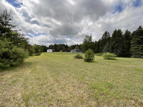 11631 E 20, Manton, MI 49663 photo 2