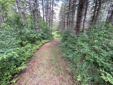 11631 E 20, Manton, MI 49663 photo 23