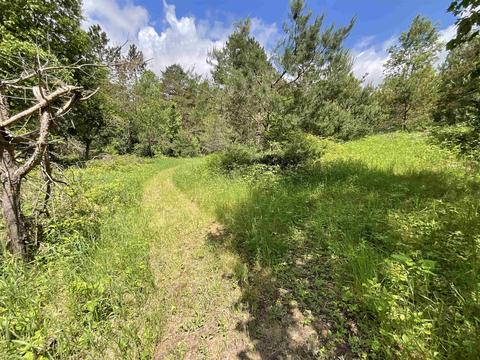 11631 E 20, Manton, MI 49663 photo 21