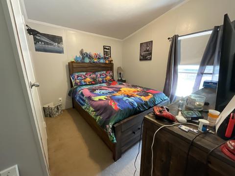 11631 E 20, Manton, MI 49663 photo 19