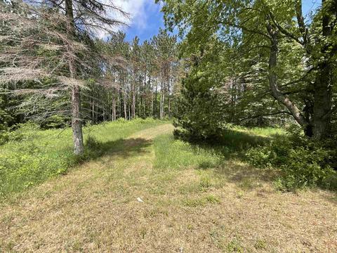 11631 E 20, Manton, MI 49663 photo 24