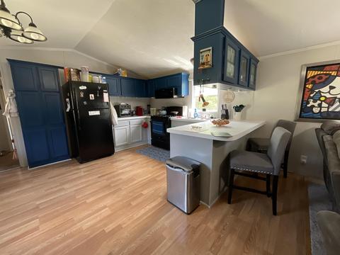 11631 E 20, Manton, MI 49663 photo 10