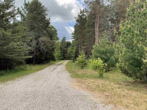 11631 E 20, Manton, MI 49663 photo 3