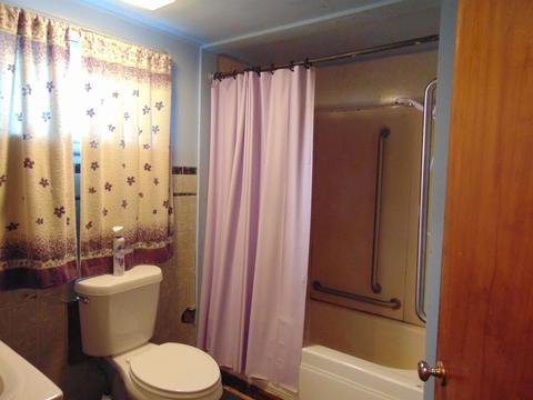 513 N Pine River St, Ithaca, MI 48847 photo 4