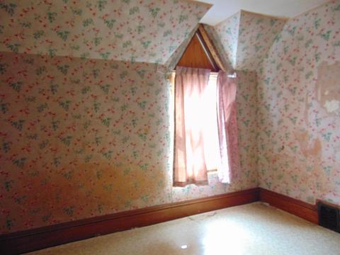 513 N Pine River St, Ithaca, MI 48847 photo 10