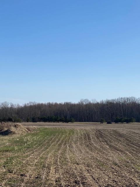 1378 E Walton, Shepherd, MI 48883 photo 6