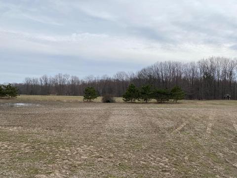 1378 E Walton, Shepherd, MI 48883 photo 2