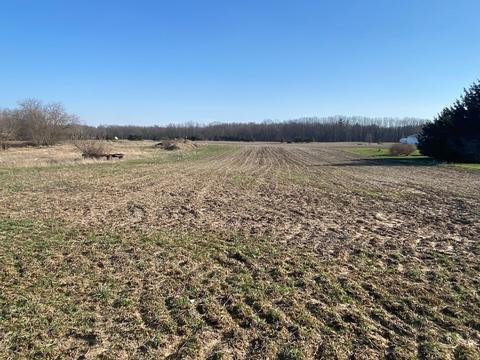 1378 E Walton, Shepherd, MI 48883 photo 1