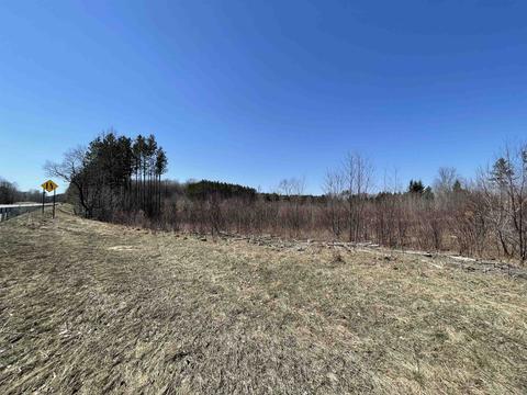 Tbd SW Shippy, South Boardman, MI 49680