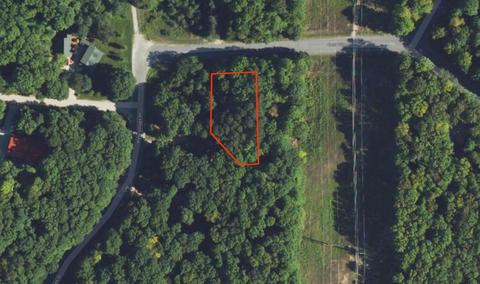 lot63 East Vlg, Bellaire, MI 49615