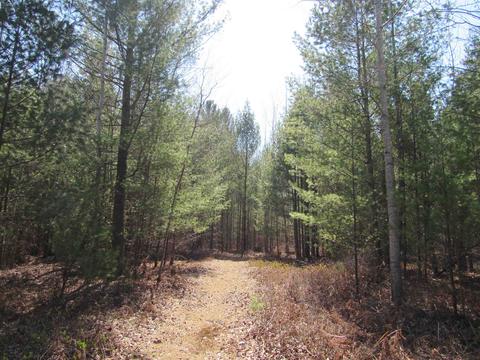 Krumm Road, Tawas City, MI 48763