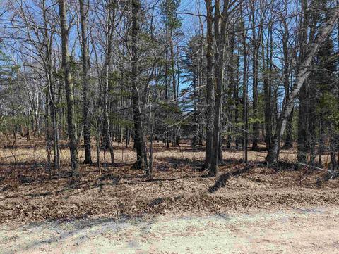 5011 E Wallace, Harrisville, MI 48740