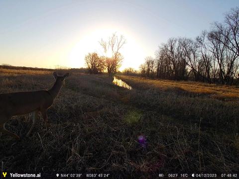 0 E Huron, Au Gres, MI 48703 photo 32