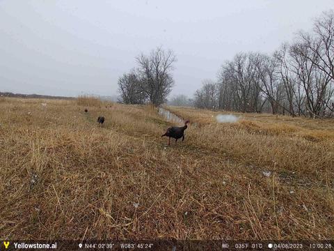 0 E Huron, Au Gres, MI 48703 photo 31