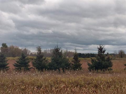 0 E Huron, Au Gres, MI 48703 photo 17