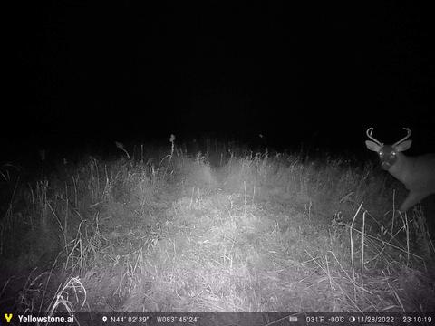 0 E Huron, Au Gres, MI 48703 photo 30