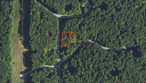 lot118 East Vlg, Bellaire, MI 49615
