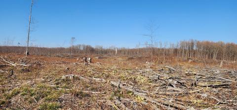 Vl 40 Acres Mockingbird, Kalkaska, MI 49646
