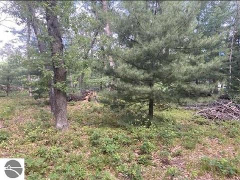 00 Whitetail #LOT 115, Alger, MI 48610