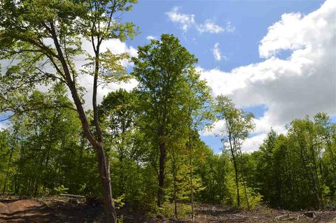 0 Springhill, Alba, MI 49611