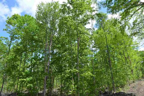 0 Springhill, Alba, MI 49611 photo 7