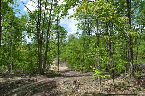 0 Springhill, Alba, MI 49611 photo 12