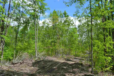 0 Springhill, Alba, MI 49611 photo 18