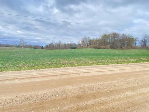 892 E Walton, Shepherd, MI 48883 photo 2