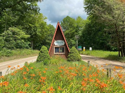 Basel Lot: 345, Reed City, MI 49677