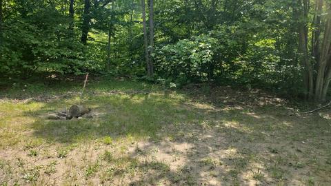 7573 Melnik St, Interlochen, MI 49643 photo 37