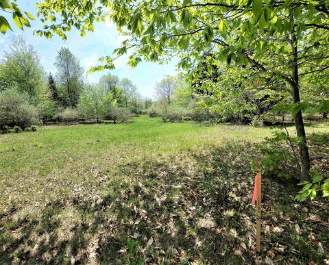 Smith Lot 40, Onekama, MI 49675