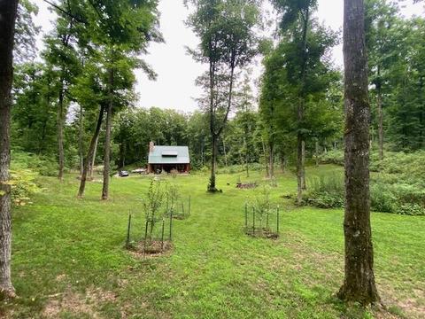 104 S 25 Rd, Boon, MI 49618 photo 76