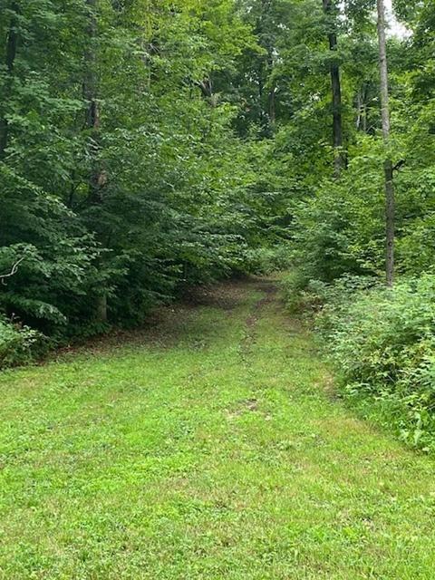 104 S 25 Rd, Boon, MI 49618 photo 83