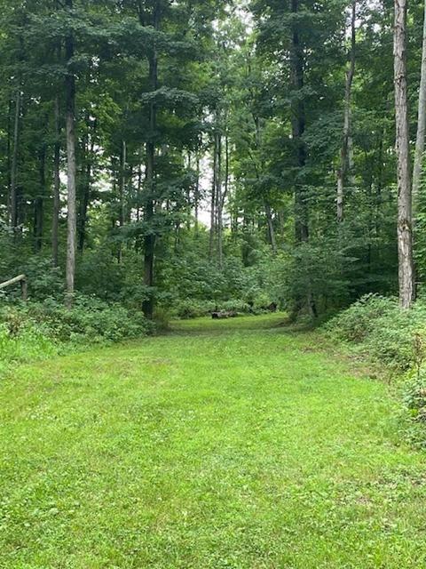 104 S 25 Rd, Boon, MI 49618 photo 82