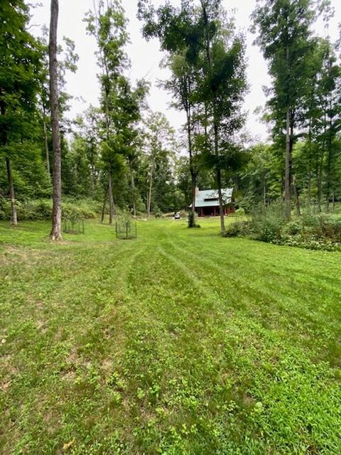 104 S 25 Rd, Boon, MI 49618 photo 81