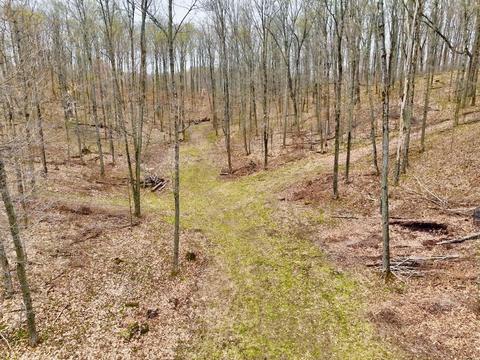 104 S 25 Rd, Boon, MI 49618 photo 79