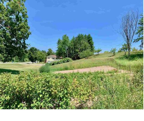 9821 S Cedar, Cedar, MI 49621 photo 27
