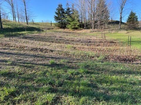 9821 S Cedar, Cedar, MI 49621 photo 28