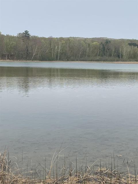 5975 Blue Lake Road Northeast, Kalkaska, MI 49646