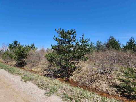 3559 Sutter #LOT : 6, Kewadin, MI 49648 photo 3
