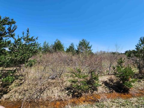 3559 Sutter #LOT : 6, Kewadin, MI 49648 photo 4