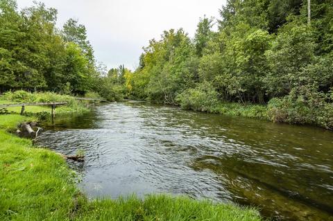 10541 Riverside Dr #LOT : 41, Honor, MI 49640