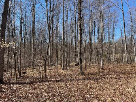 Parcel 2 King Road Lot: 2, Benzonia, MI 49616