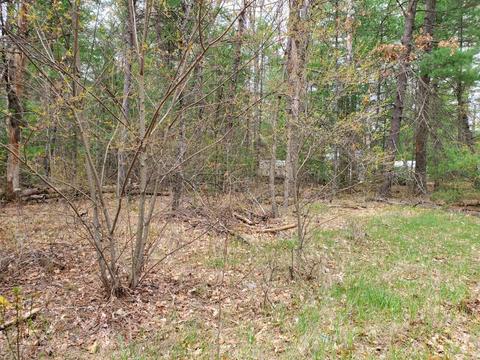 0 Silver Crk #LOT : 83, Prescott, MI 48756
