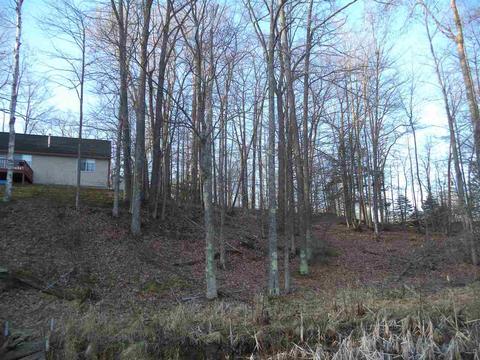 3593 Lakeshore Dr, Lupton, MI 48635 photo 8