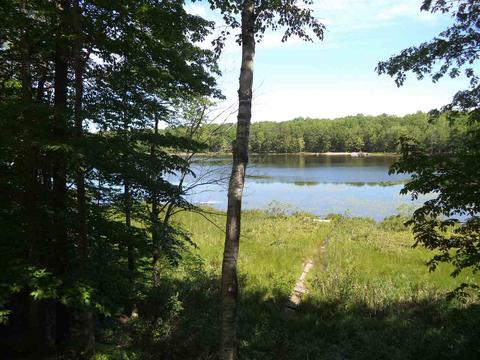 3593 Lakeshore Dr, Lupton, MI 48635 photo 3