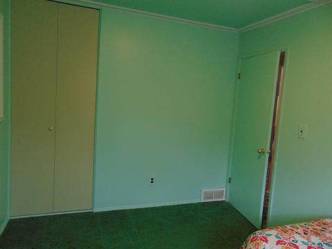 186 S Luce Rd, Ithaca, MI 48847 photo 30