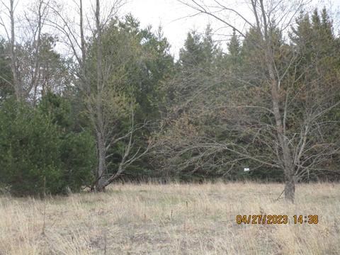 635 Grouse #LOT : 16, Kalkaska, MI 49646